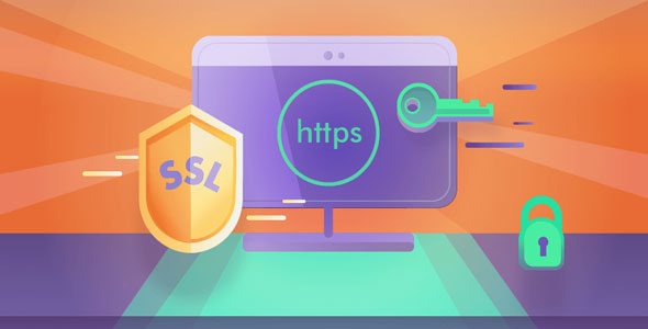 Really Simple SSL Pro v5.2.1