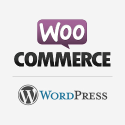 WooCommerce Account Funds v2.4.3