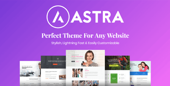 Astra Pro Addon v4.8.1 – Perfect Theme For Any Website
