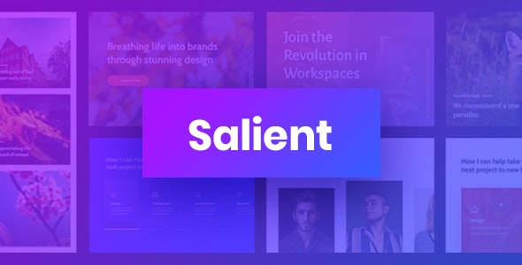 Salient v16.0.3 – Responsive Multi-Purpose Theme